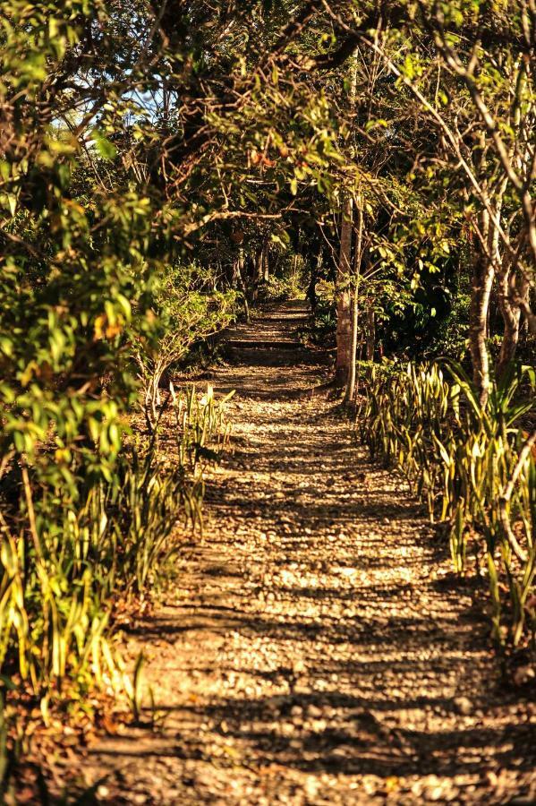 Pousada Manacas Hotel Cavalcante Bagian luar foto